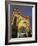 Exterior of Luna Park Entrance Illuminated at Twilight, St. Kilda, Melbourne, Victoria, Australia-Richard Nebesky-Framed Photographic Print