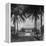 Exterior of Mansion on the Island of Martinique-David Scherman-Framed Premier Image Canvas