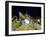 Exterior of Modern Public Spa, Escaldes-Engordany Parish, Andorra-Jim Zuckerman-Framed Photographic Print