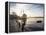 Exterior of Ortakoy Mosque and Bosphorus Bridge at Dawn, Ortakoy, Istanbul, Turkey-Ben Pipe-Framed Premier Image Canvas