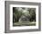 Exterior of Plantation Home, Oak Alley, New Orleans, Louisiana, USA-Adina Tovy-Framed Photographic Print