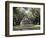 Exterior of Plantation Home, Oak Alley, New Orleans, Louisiana, USA-Adina Tovy-Framed Photographic Print