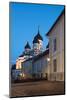 Exterior of Russian Orthodox Alexander Nevsky Cathedral at night, Toompea, Old Town, UNESCO World H-Ben Pipe-Mounted Photographic Print