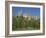 Exterior of the Chateau of Pierrefonds in Aisne, Picardie, France, Europe-Michael Busselle-Framed Photographic Print