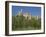 Exterior of the Chateau of Pierrefonds in Aisne, Picardie, France, Europe-Michael Busselle-Framed Photographic Print