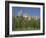 Exterior of the Chateau of Pierrefonds in Aisne, Picardie, France, Europe-Michael Busselle-Framed Photographic Print