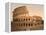 Exterior of the Coliseum, Rome, Italy, c.1890-c.1900-null-Framed Premier Image Canvas