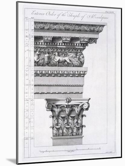 Exterior Order of the Temple of Aesculapius, Plate XLVII-Robert Adam-Mounted Giclee Print