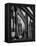 Exterior View of Amiens Cathedral-Nat Farbman-Framed Premier Image Canvas