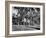 Exterior View of Charles Eames House, Showing How it Nudges into a Hillside-Peter Stackpole-Framed Photographic Print