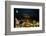 Exterior View of Madison Square Garden-Dirck Halstead-Framed Photographic Print