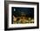 Exterior View of Madison Square Garden-Dirck Halstead-Framed Photographic Print