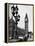 Exterior View of the House of Parliament and Big Ben-Tony Linck-Framed Premier Image Canvas