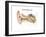 External Auditory Canal of Human Ear (With Labels)-null-Framed Premium Giclee Print