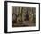 Extraordinary strength of Milo of Croton (Milon de Crotone)-French School-Framed Giclee Print