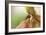 Extravaganza II-Dana Styber-Framed Photographic Print