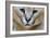 Extreme Close-Up Portrait Of A Caracal Cat-Karine Aigner-Framed Photographic Print