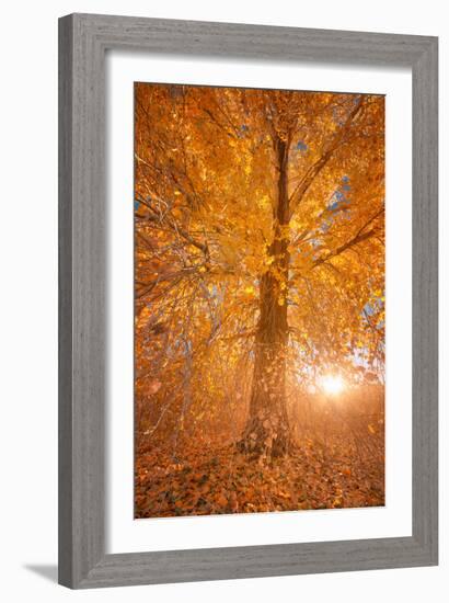 Extreme Fall 2-Bob Larson-Framed Art Print