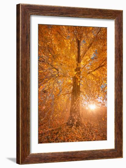 Extreme Fall 2-Bob Larson-Framed Art Print