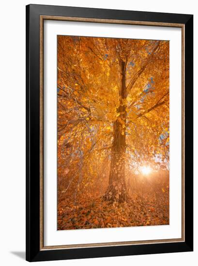 Extreme Fall 2-Bob Larson-Framed Art Print