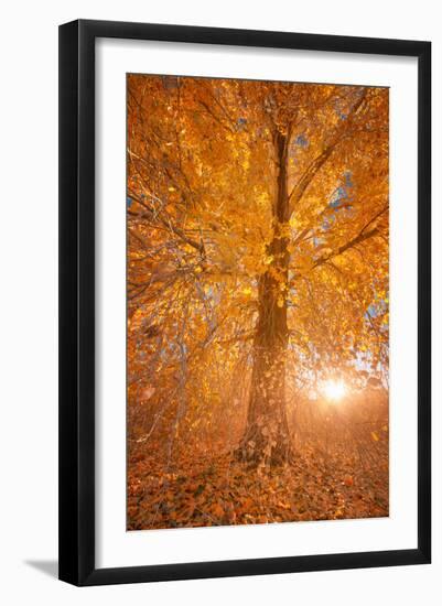 Extreme Fall 2-Bob Larson-Framed Art Print