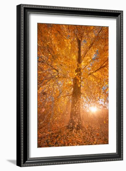 Extreme Fall 2-Bob Larson-Framed Art Print