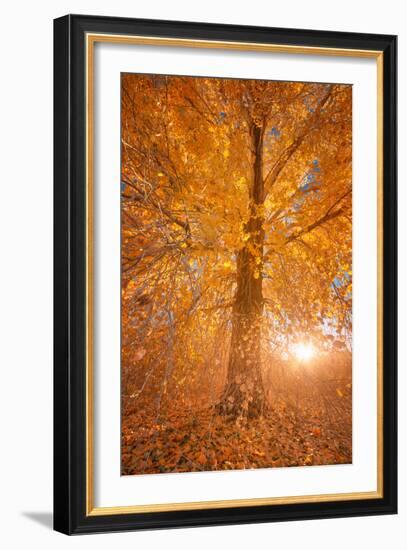 Extreme Fall 2-Bob Larson-Framed Art Print