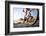 Extreme Mountain Bike Sport Athlete Man Riding Outdoors Lifestyle Trail-warrengoldswain-Framed Photographic Print