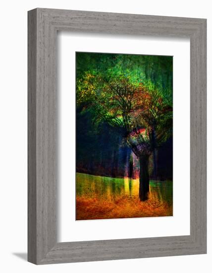 Exuberance 1-Ursula Abresch-Framed Photographic Print