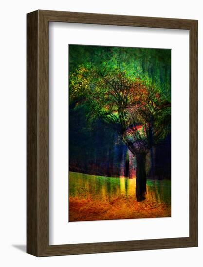 Exuberance 1-Ursula Abresch-Framed Photographic Print