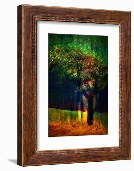 Exuberance 1-Ursula Abresch-Framed Photographic Print