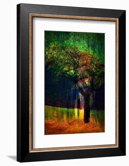 Exuberance 1-Ursula Abresch-Framed Photographic Print