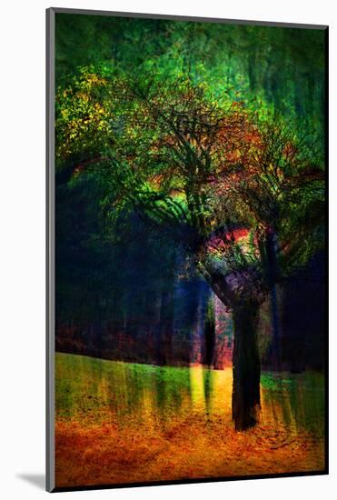 Exuberance 1-Ursula Abresch-Mounted Photographic Print