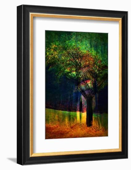 Exuberance 1-Ursula Abresch-Framed Photographic Print