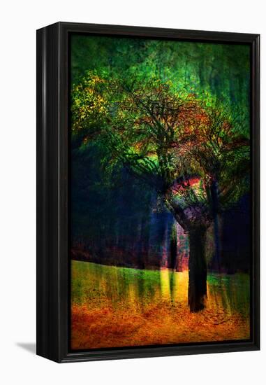 Exuberance 1-Ursula Abresch-Framed Premier Image Canvas