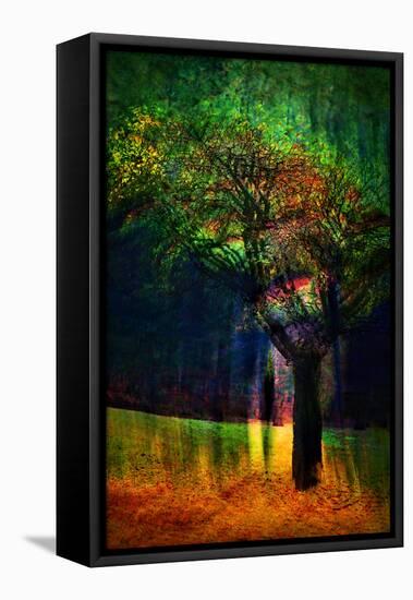 Exuberance 1-Ursula Abresch-Framed Premier Image Canvas