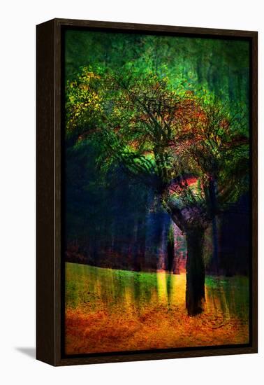 Exuberance 1-Ursula Abresch-Framed Premier Image Canvas