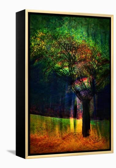 Exuberance 1-Ursula Abresch-Framed Premier Image Canvas