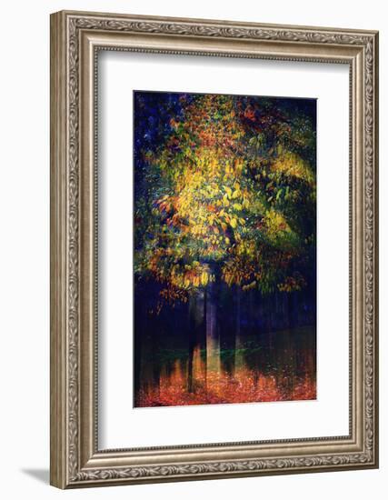 Exuberance 2-Ursula Abresch-Framed Photographic Print