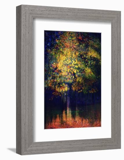 Exuberance 2-Ursula Abresch-Framed Photographic Print