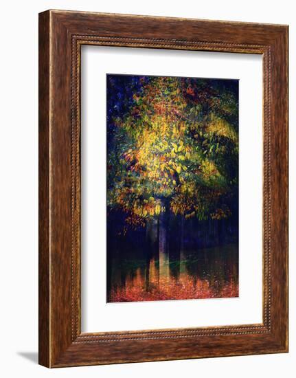 Exuberance 2-Ursula Abresch-Framed Photographic Print