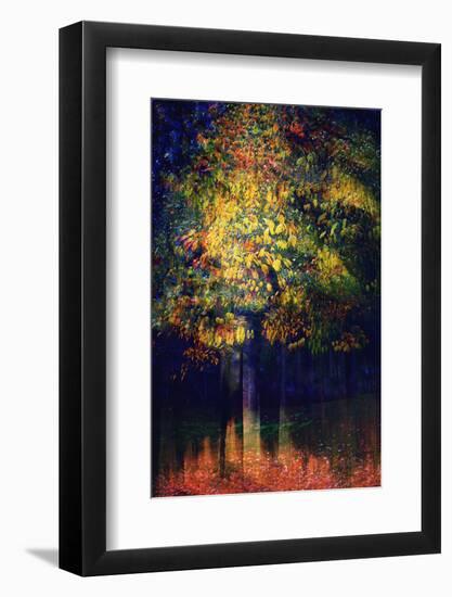 Exuberance 2-Ursula Abresch-Framed Photographic Print