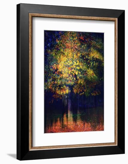 Exuberance 2-Ursula Abresch-Framed Photographic Print