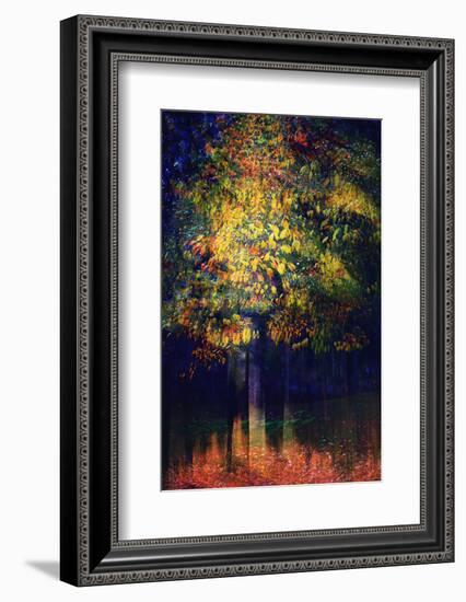 Exuberance 2-Ursula Abresch-Framed Photographic Print