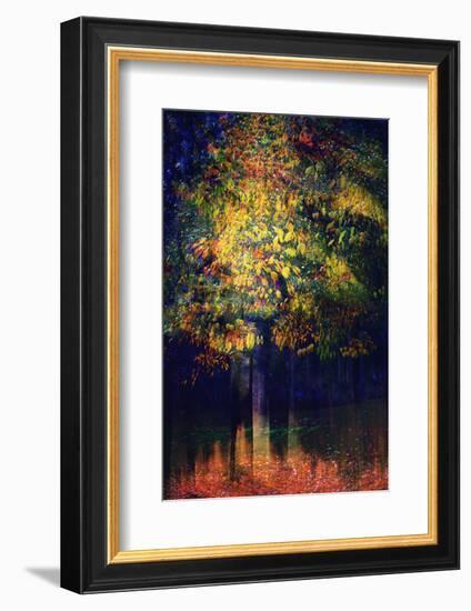 Exuberance 2-Ursula Abresch-Framed Photographic Print