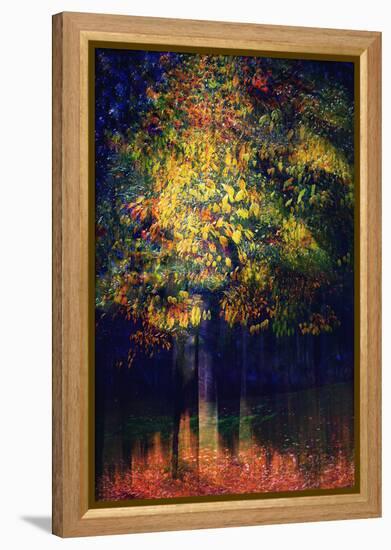 Exuberance 2-Ursula Abresch-Framed Premier Image Canvas