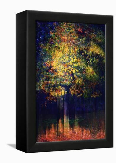 Exuberance 2-Ursula Abresch-Framed Premier Image Canvas