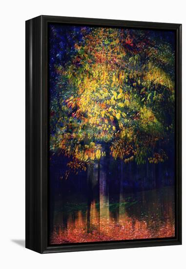 Exuberance 2-Ursula Abresch-Framed Premier Image Canvas