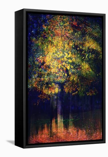 Exuberance 2-Ursula Abresch-Framed Premier Image Canvas