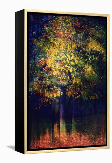 Exuberance 2-Ursula Abresch-Framed Premier Image Canvas